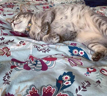 Load image into Gallery viewer, Dr. Pussums Catnip Pillow Catnip Toy Small