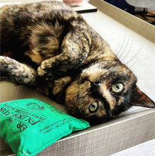 Load image into Gallery viewer, Dr. Pussums Catnip Kicker Catnip Toy Large