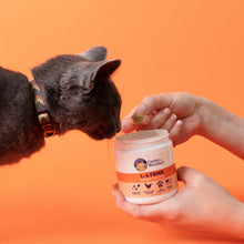 Load image into Gallery viewer, Under the Weather L-Lysine Support Powder for Cats