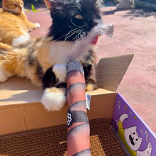 Load image into Gallery viewer, Silvervine Cigar Cat Toy with Feather "Smoke"
