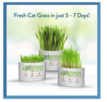 Load image into Gallery viewer, Organic Pet Greens Wheat Grass Self-Grow Kit