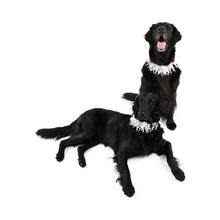 Load image into Gallery viewer, Pearl Beaded White Pet Collar - Small