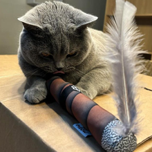 Load image into Gallery viewer, Silvervine Cigar Cat Toy with Feather "Smoke"
