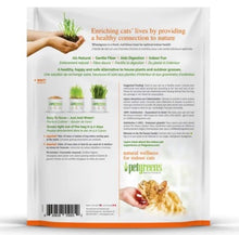 Load image into Gallery viewer, Organic Pet Greens Wheat Grass Self-Grow Kit