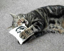 Load image into Gallery viewer, Dr. Pussums Catnip Kicker Catnip Toy Large