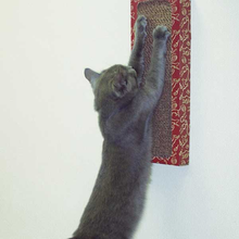 Load image into Gallery viewer, Cat Wall Scratcher Toy