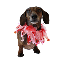 Load image into Gallery viewer, Heart Party Pet Collar - Medium