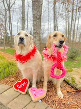 Load image into Gallery viewer, Heart Party Pet Collar - Medium