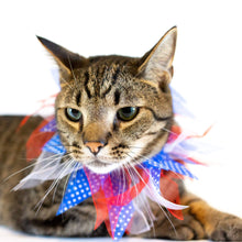 Load image into Gallery viewer, Patriotic Dots Decorative Pet Collar - Large