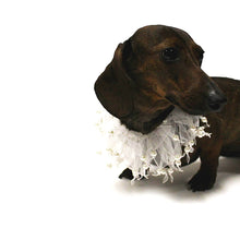 Load image into Gallery viewer, Pearl Beaded White Pet Collar - Small