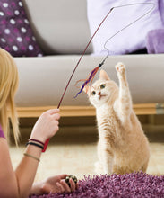 Load image into Gallery viewer, Telescoping Cat Wand Toy