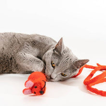 Load image into Gallery viewer, Wool Red Mouse Cat Toy w/6 Foot Tail