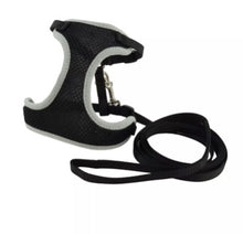 Load image into Gallery viewer, Comfort Soft® Adjustable Cat Harness with 6' Leash, Black, X-Small - Girth: 11"-14", Neck: 7"-10", Weight: 8-10lbs