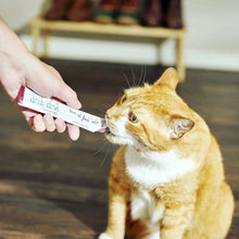 Load image into Gallery viewer, Caru Tuna & Salmon Smoothies 4ct