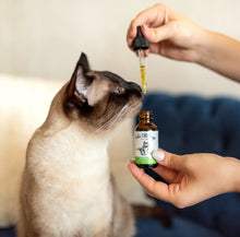 Load image into Gallery viewer, Suzie's CBD Oil Tincture Drops for Cats 125mg