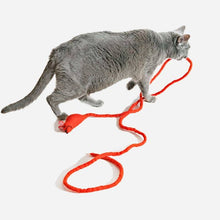 Load image into Gallery viewer, Wool Red Mouse Cat Toy w/6 Foot Tail
