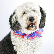 Load image into Gallery viewer, Patriotic Dots Decorative Pet Collar - Small