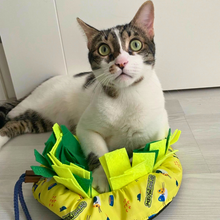Load image into Gallery viewer, MeowSalad - The Ultimate Snuffle Mat & Interactive Slow Feeder for Cats