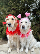 Load image into Gallery viewer, Heart Party Pet Collar - Medium