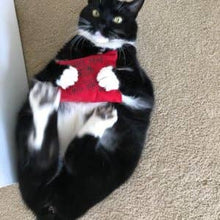 Load image into Gallery viewer, Dr. Pussums Catnip Kicker Catnip Toy Large
