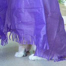 Load image into Gallery viewer, Magic Carpet - Play Tent for Cats