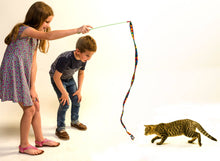 Load image into Gallery viewer, Cat Dancer Products, Inc. - Cat Dancer Cat Charmer Cat Toy
