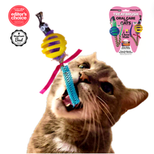 Load image into Gallery viewer, ChewMate™ Pet Oral Care and Wellness - Cat Ball TREATBRUSH Wholesale Doubles Faire - Doubles, 20/pack
