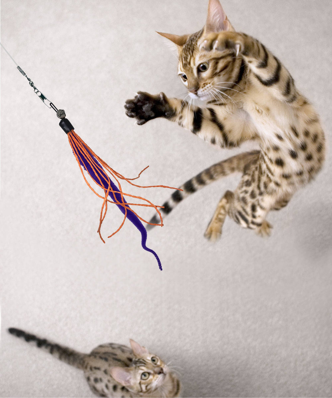 Telescoping Cat Wand Toy