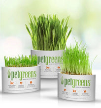 Load image into Gallery viewer, Organic Pet Greens Medley Grass Self-Grow Kit
