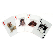 Load image into Gallery viewer, 3-D Cat Playing Cards
