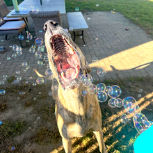 Load image into Gallery viewer, Atomic Bubbles - Puppy Love - Bacon - Single Bottle - Bacon / 4 oz Bottle
