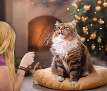 Load image into Gallery viewer, Telescoping Cat Wand Toy
