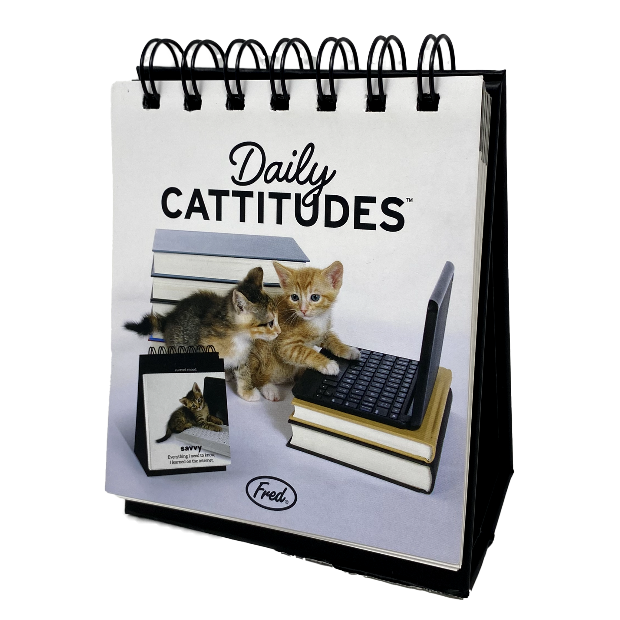 Genuine Fred Daily Cattitude Desktop Flip Chart - 48-Page Cat Mood Book, Funny Office Desk Accessory - View #11