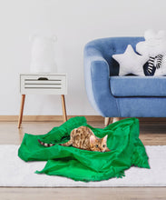 Load image into Gallery viewer, Magic Carpet - Play Tent for Cats
